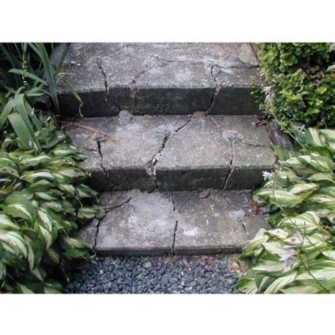 Dexpan Expansive Demolition Grout - Ideal for Rock India | Ubuy