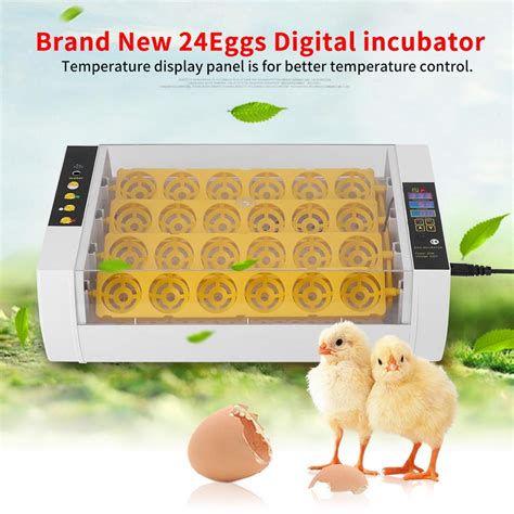 Buy EBTOOLS Egg Incubator for Hatching Eggs,24 Egg Incubator Humidity ...
