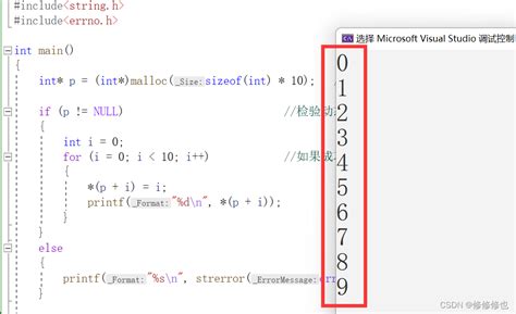 Malloc Function C 的图像结果