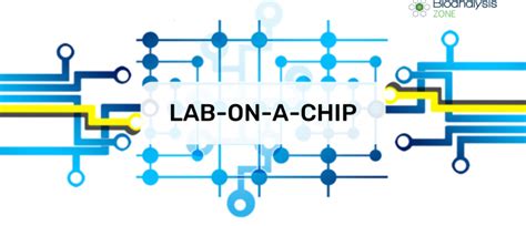 Image result for Lab On a Chip How It Works