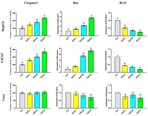 Antibacterial, Antifungal, and Anticancer Effects of Camel Milk ...
