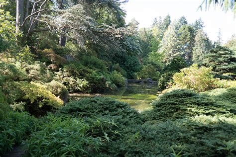 Kubota Garden Seattle