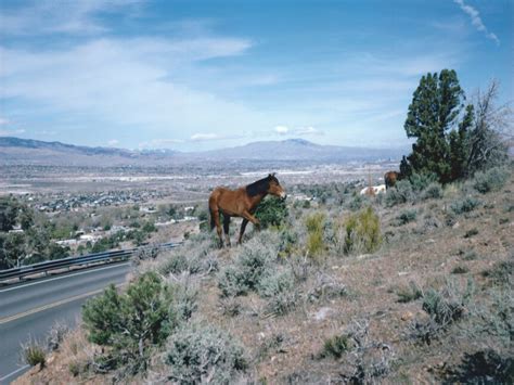 Charlotte Dumas, Geiger Grade Road Reno NV, from the series The Widest ...