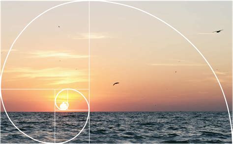 The Golden Ratio: How to Use It in Photography – Knowledge Hub