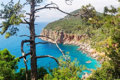 Turkey 的图像结果