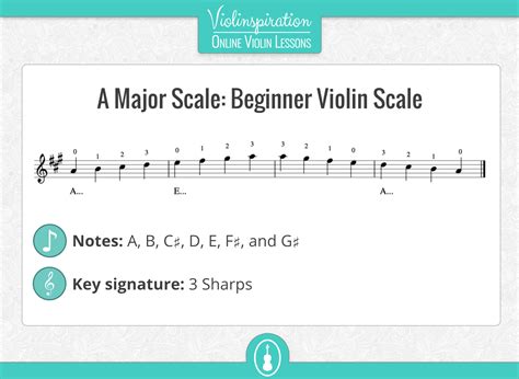 Violin Scales: The 5 Most Commonly Used Violin Scales - Violinspiration