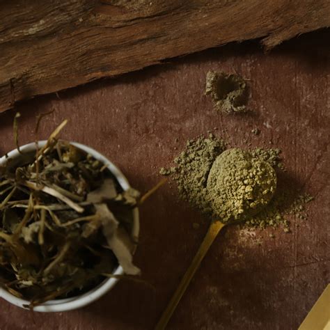Vetiver Root Powder from Tamil Nadu | Khus Root Powder | 50g – vrikshaveda
