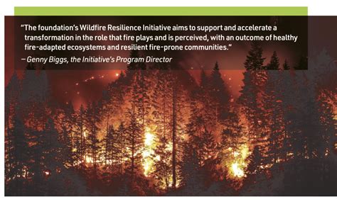 Image result for Forest Fire Project