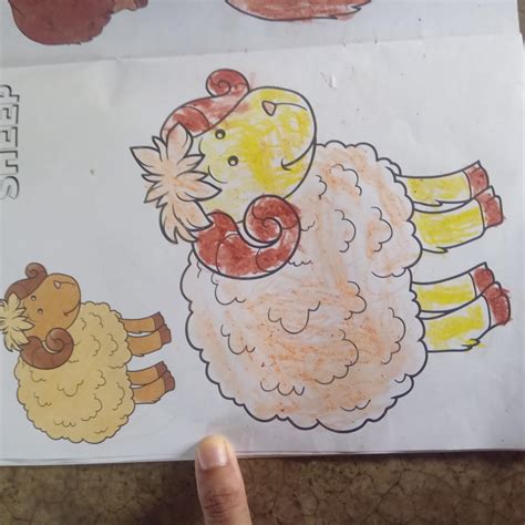 Colouring Book of Animals: Creative Crayons Series - Crayon Copy Colour ...