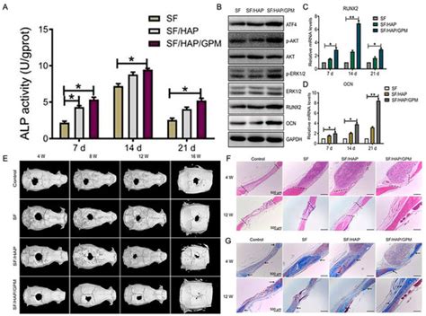 A Comprehensive Review on Silk Fibroin as a Persuasive Biomaterial for ...