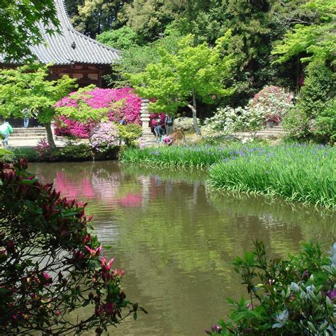 Chogaku-ji Temple, Tenri - Tripadvisor