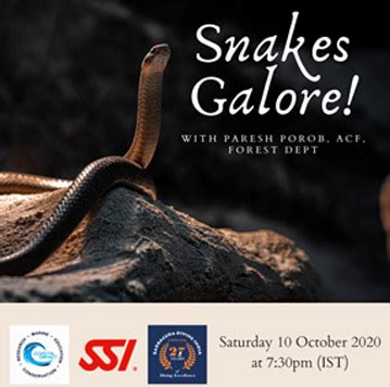 Image result for Sea Creatures Alert Program