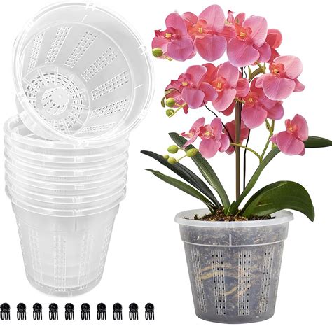 Amazon.com: HOLANHING 8 Pack Orchid Pot, 4.5in Orchid Pots with Holes ...