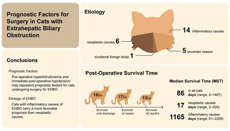 Prognostic Factors in 26 Cats Undergoing Surgery for Extra-Hepatic ...