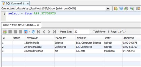 Image result for Simple Java Project in NetBeans with Database