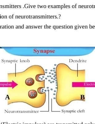 nerve impulses,(electric impulses) are transmitted only from AtoB not ...