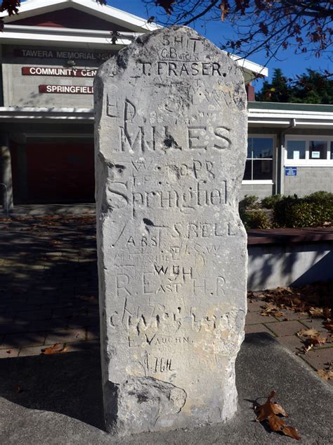 Image result for Springfield NZ