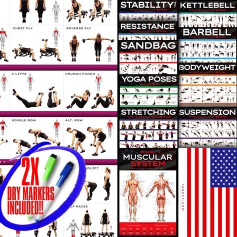 Buy TANK 12 Pack Exercise Workout Set Dumbbell, Suspension, Kettlebell ...