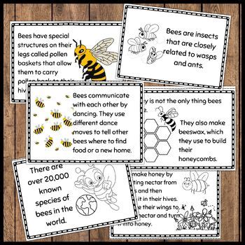 CBeebies Bees Fact File 的图像结果