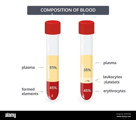 Composition of blood, the percentage of formed elements of blood, vector medical concept Stock ...