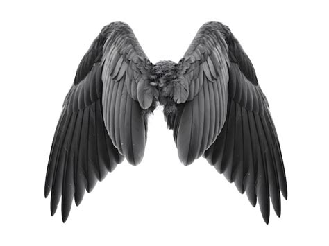 Majestic black wings isolated on white background | Premium Photo