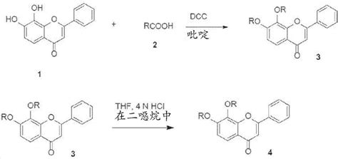 7,8‑二羟黄酮和7,8‑取代的黄酮衍生物、组合物及其相关方法与流程
