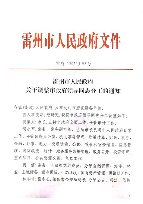 雷州市人民政府关于调整市政府领导同志分工的通知