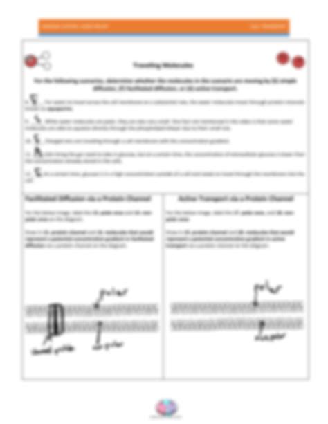 SOLUTION: Scribd vdownloaders com edited amoeba sisters cell transport ...