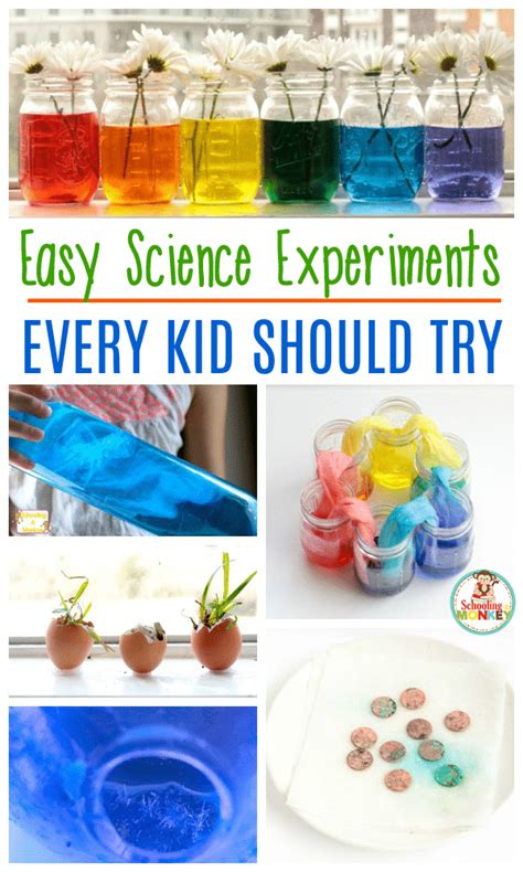 Elementary School Science Experiments 的图像结果