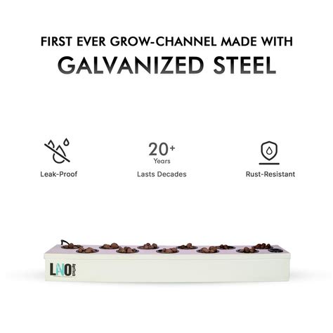 Indoor Farming & Hydroponic solutions – Lano AgriTech