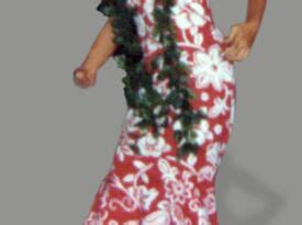 Manivic's (Maniwike's) Hawaiian Dance Company - Hula Dancer Cleveland ...
