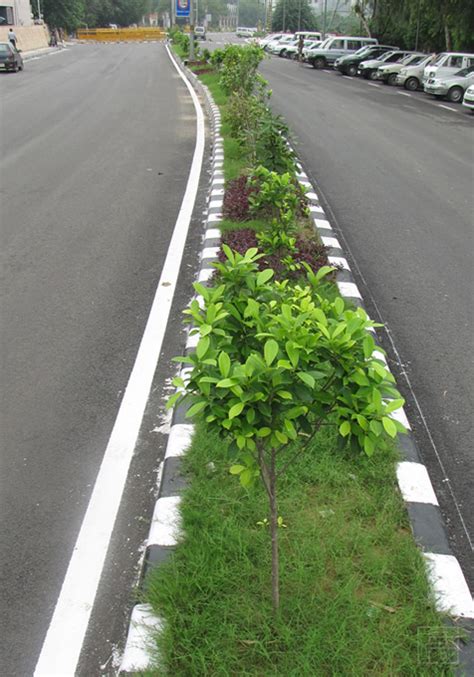 Architectural - Streetscaping & Beautification of City Roads