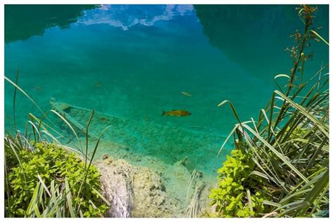 HelloIntern – Internships, Jobs & Career Growth Platform