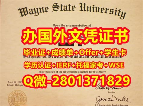 国外学位证书代办韦恩州立大学文凭学历证书 | PPT