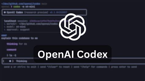 Image result for Using Codex Openai