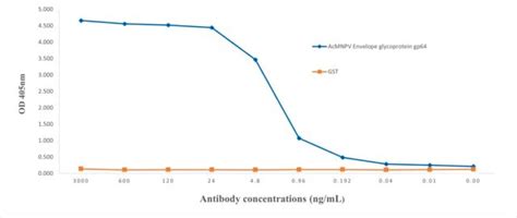 Antibodies - Primary, Secondary & Recombinant Monoclonal