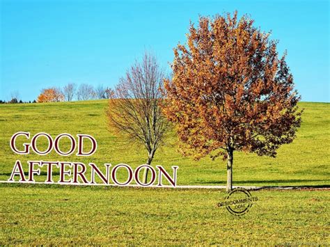 Good Afternoon – Have A Nice Day - DesiComments.com