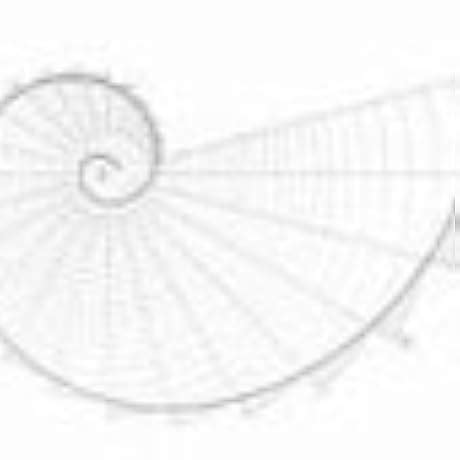 Buy Mathematical Thinking: Problem-Solving and Proofs Book Online at ...