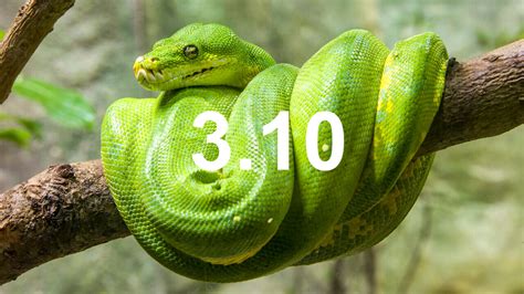 Image result for Python 3.10 Features