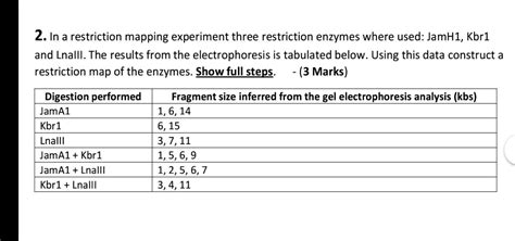 Image result for Restriction Enzyme Mapping