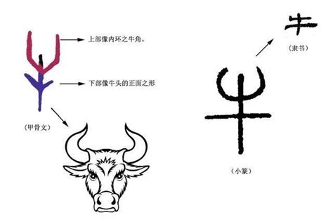 牛姓由來——源於地名的中國姓氏 - 每日頭條