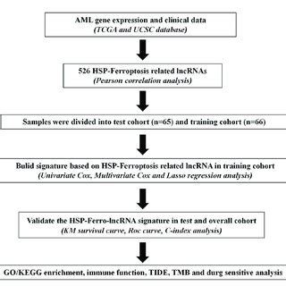 Flowchart TCGA 的图像结果