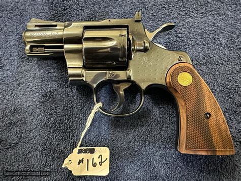 Image result for Bright Colt Python 2 1 2