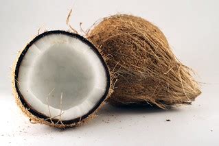 Coconut Hybridization Program 的图像结果