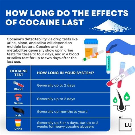 How Long Does Cocaine Stay in Your System? Blood, Urine, and Saliva Tests