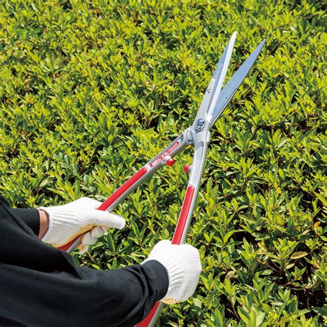 Best Hedge Shears: Our Top Picks - Urban Turnip