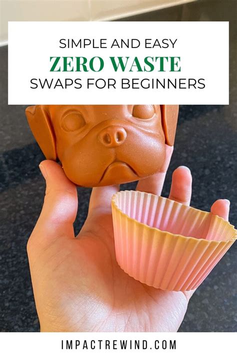 Image result for Zero Waste Swaps