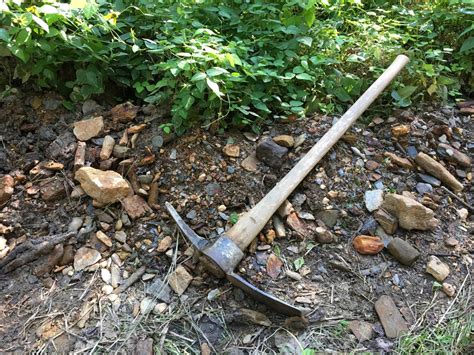 Image result for Spring Water Collection