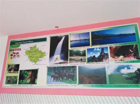 Wayanad Travel Guide - Day Tours (Kalpetta) - 2019 What to Know Before ...