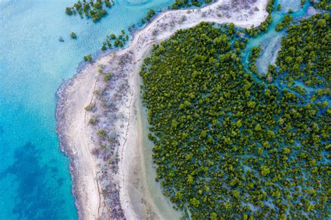 Our first-ever peer-to-peer learning exchange on blue carbon ecosystems in Madagascar - Blue ...